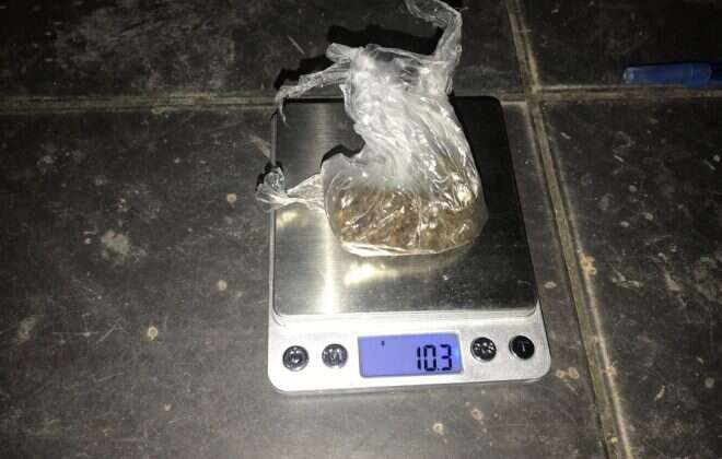 Desarticulan venta de droga en Santa Rosa y General Pico