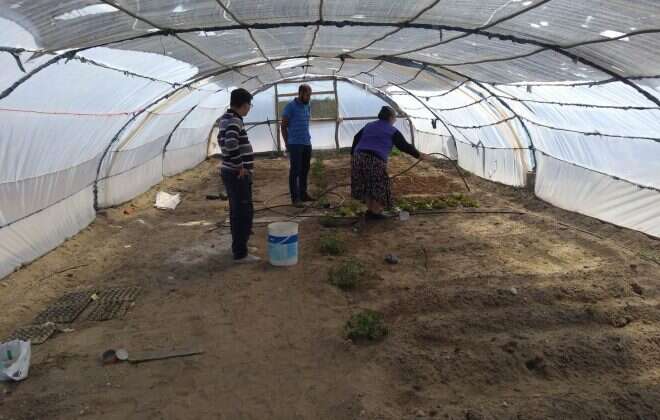 Taller de Huerta Escolar y entrega de plantas en La Humada