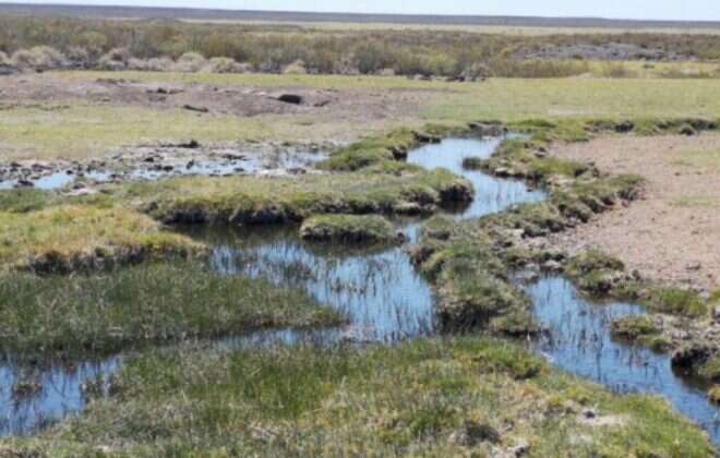 Se conmemora el Día Nacional del Agua