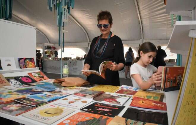 Cultura habilitó la recepción de rendiciones de bibliotecas populares