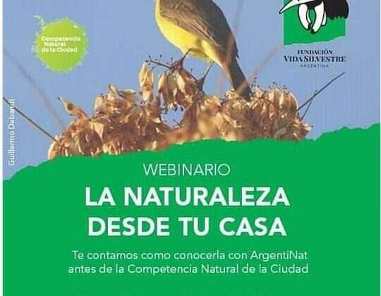 Localidades pampeanas invitadas a participar del City Nature Challenge 2020