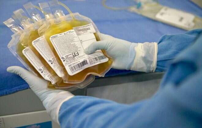 La Pampa está usando plasma para los pacientes que se encuentran en coma por COVID-19