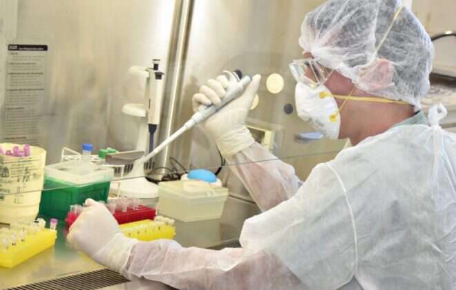 La Pampa sin casos activos: Se recuperó la última paciente que contrajo coronavirus