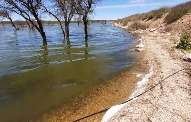 Mortandad de camarones: se tomaron muestras de agua en Bajo Giuliani