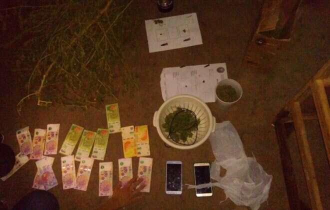 Desarticulan venta de droga y detienen una persona en General Pico