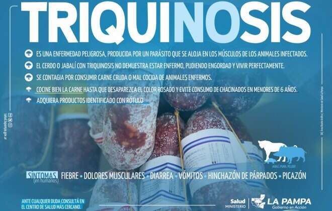 Ante un caso de triquinosis se reiteran las medidas preventivas