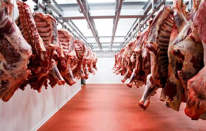 Las restricciones para exportar carne continuarán hasta fin de octubre