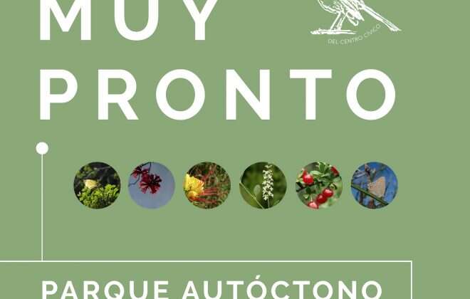 Plantarán especies nativas en el “Parque Autóctono Centro Cívico”