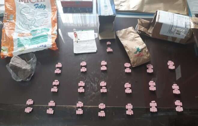Secuestran en Santa Rosa una encomienda con 198 pastillas de anfetaminas