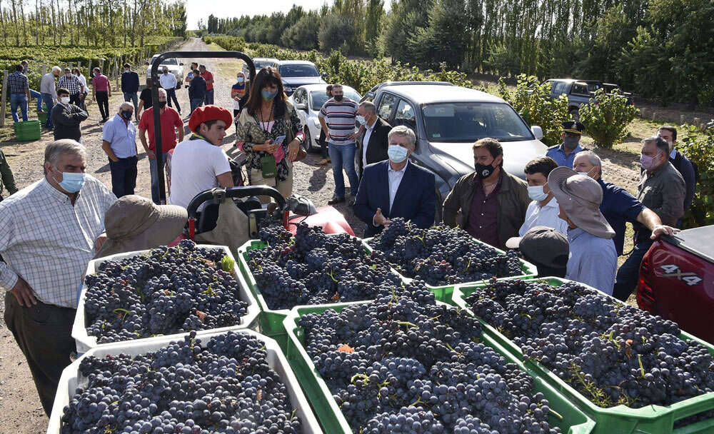 El 29 de marzo se licita la obra de la bodega provincial de Casa de Piedra