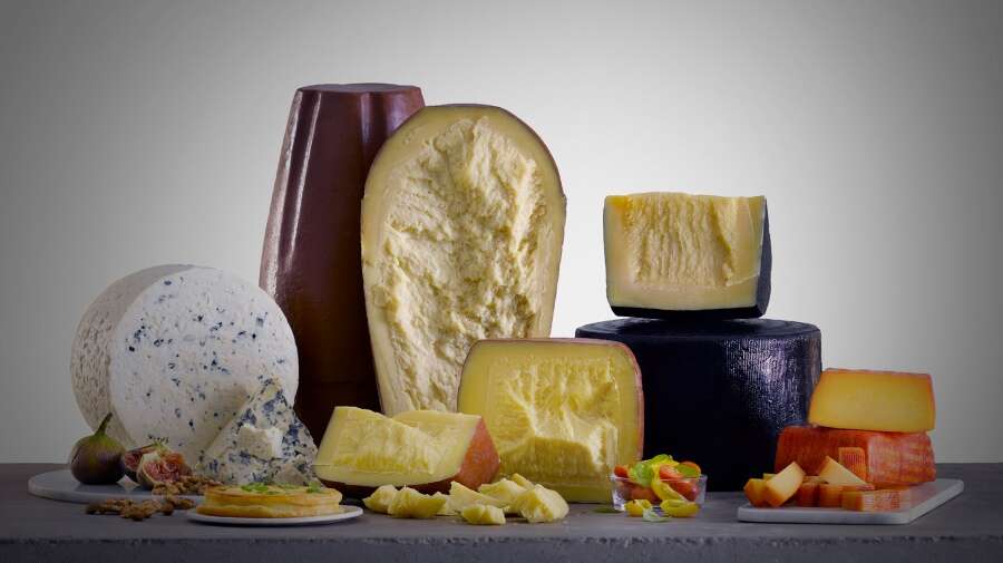 Se celebra el Día Mundial del Queso: Argentina es uno de los mayores productores