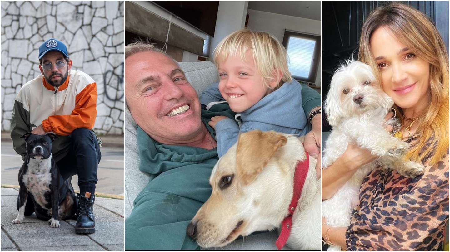 Los perros influencers de los famosos: las mascotas que marcan tendenciaâ£