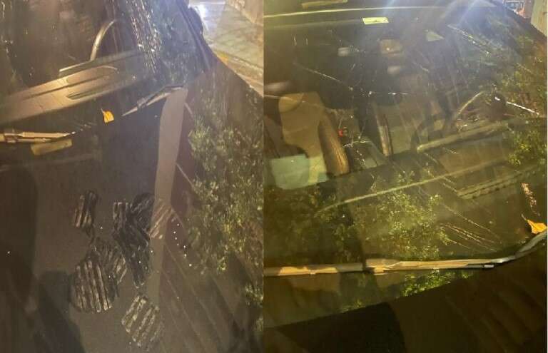 Salvio asegura que su ex mujer subió al capó del auto y le pateó el parabrisas hasta astillarlo