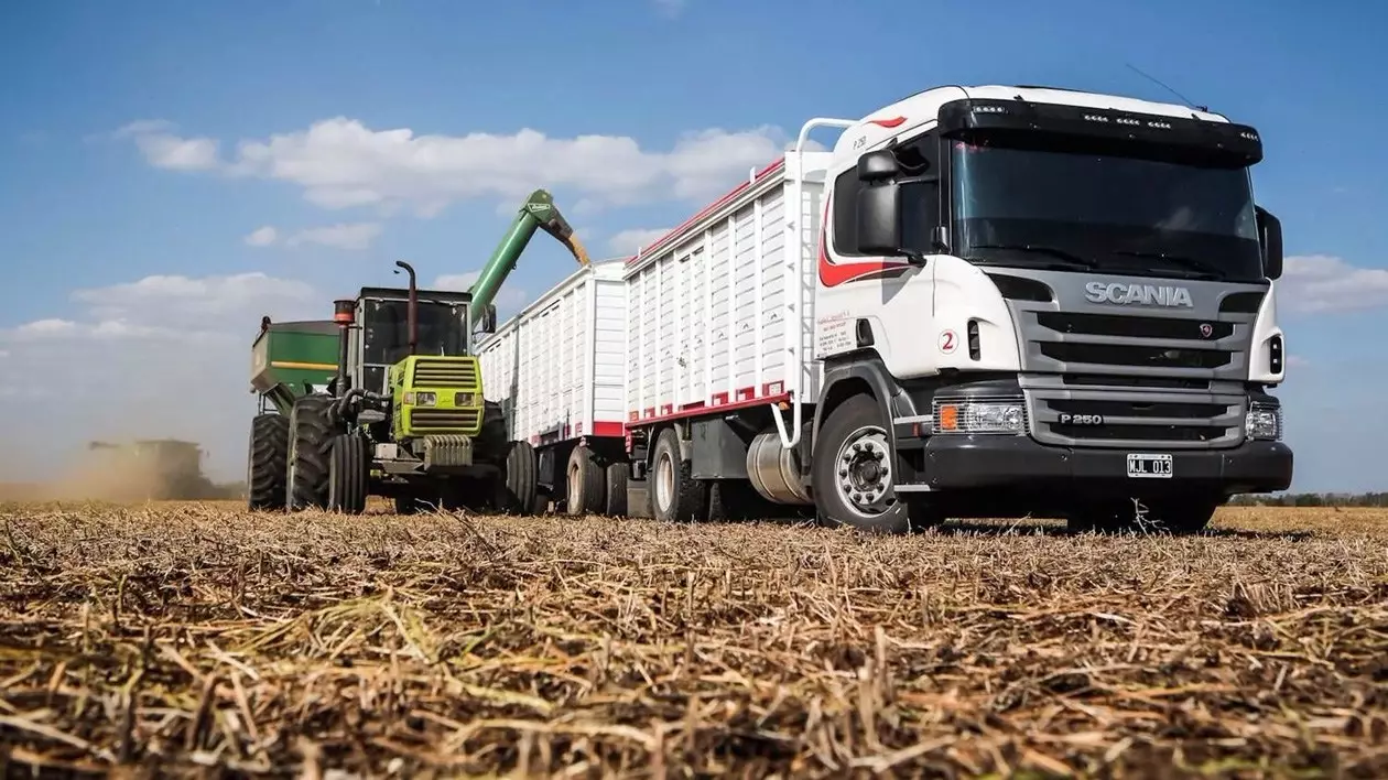 Transportistas de granos harán paro nacional