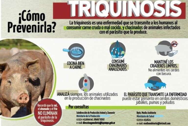 Confirmaron un caso de triquinosis en Colonia Santa María y reiteraron medidas preventivas