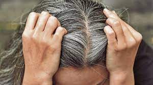 Cuáles son las razones detrás de las canas, según expertos de Harvard
