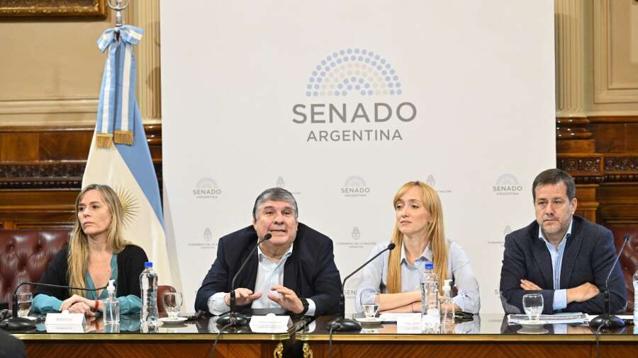 El FdT presentó proyecto para regularizar deudas previsionales