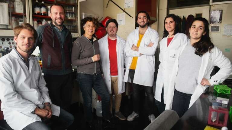 Una dosis diferente de refuerzo aumenta notablemente la inmunidad contra Ã“micron