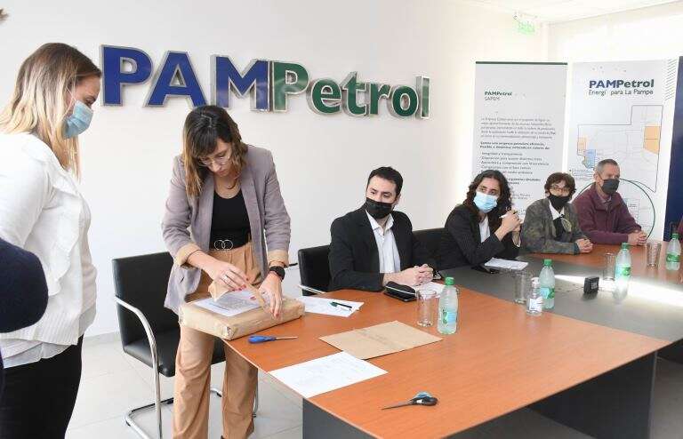 Una sola empresa se presentó con una oferta en la licitación del Ãrea Medanito Sur