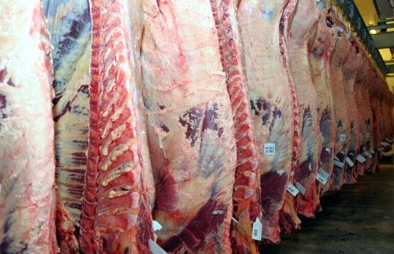 Las exportaciones de carne vacuna en la Argentina cerraron el primer semestre con récord en volumen y valor
