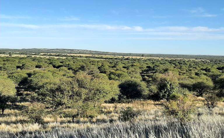 Avanza en La Pampa la creación del Parque Nacional El Caldenal