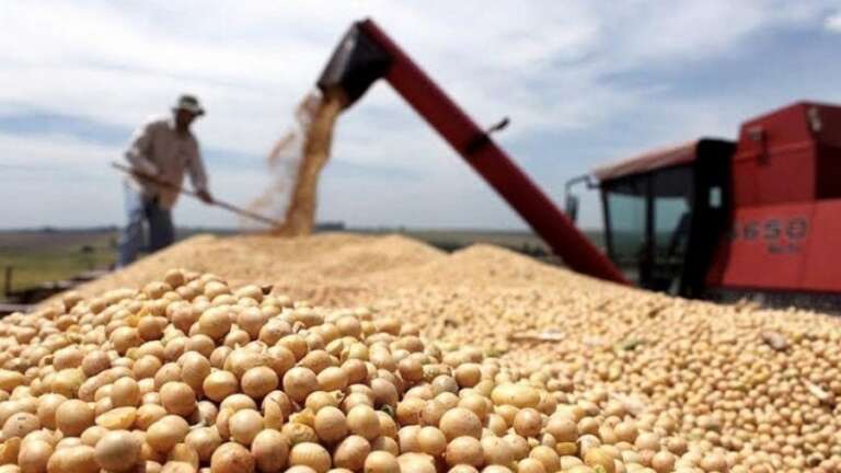 Estiman que el sector agropecuario podría generar exportaciones adicionales por US$ 17.000 millones en 10 años