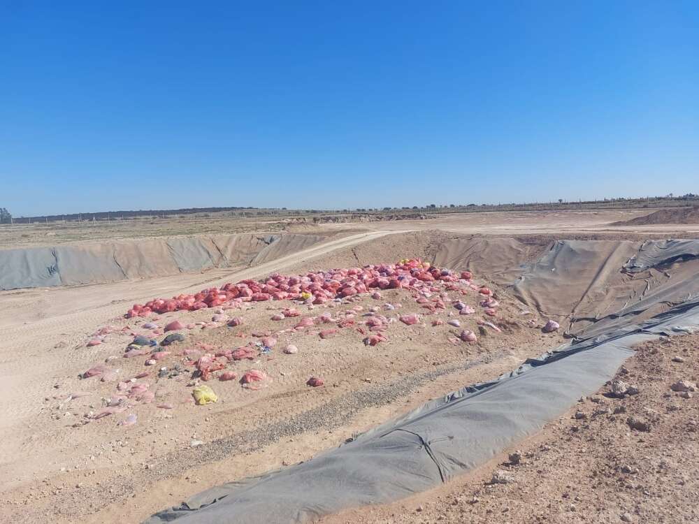 Planta de residuos de Toay: Concluyó la construcción de la segunda celda