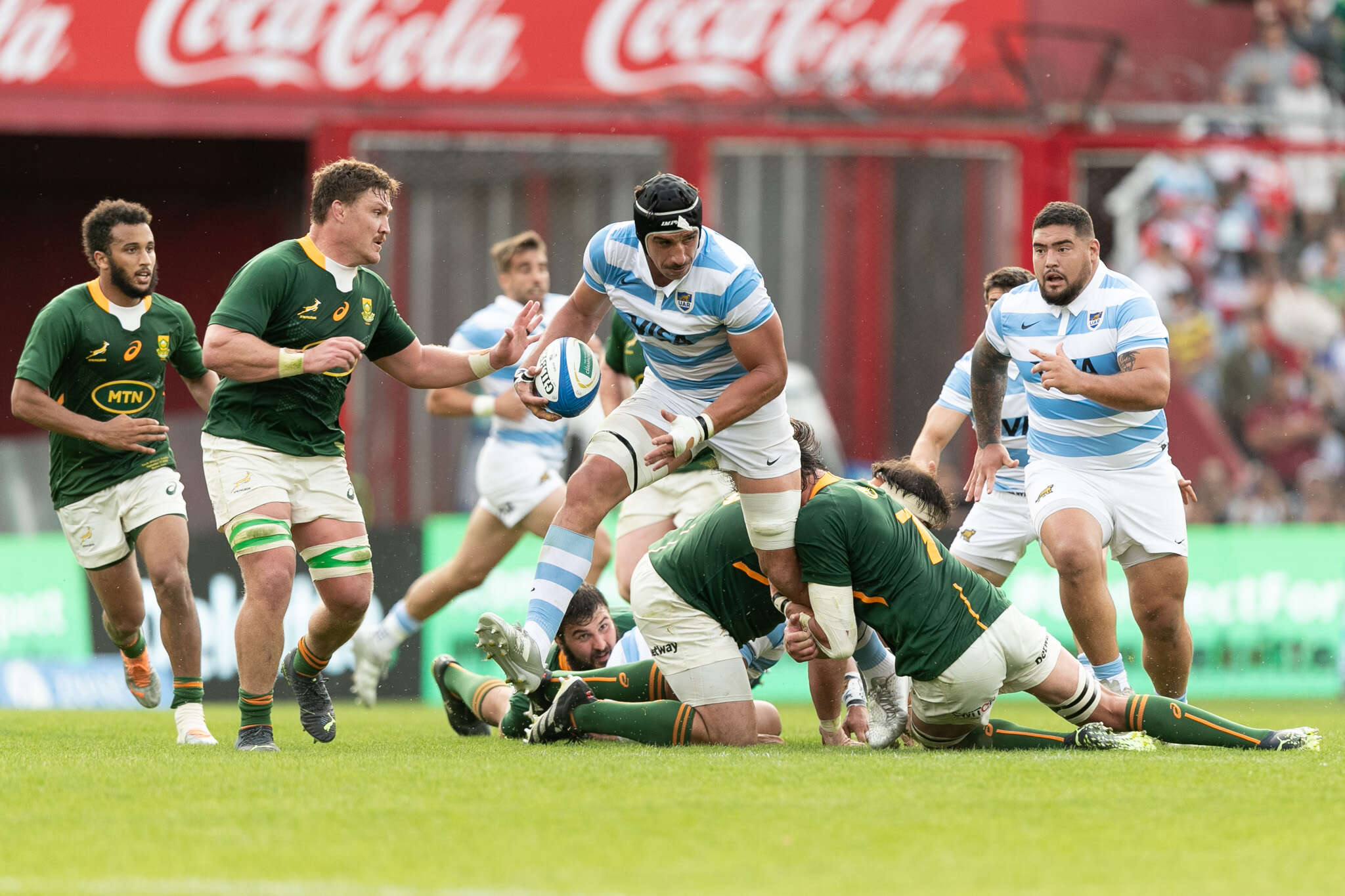 Rugby: Caída de Los Pumas frente a Sudáfrica en la cancha de Independiente