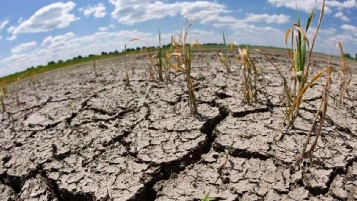 El invierno 2022 fue el 7Â° más seco en 61 añosÂ 