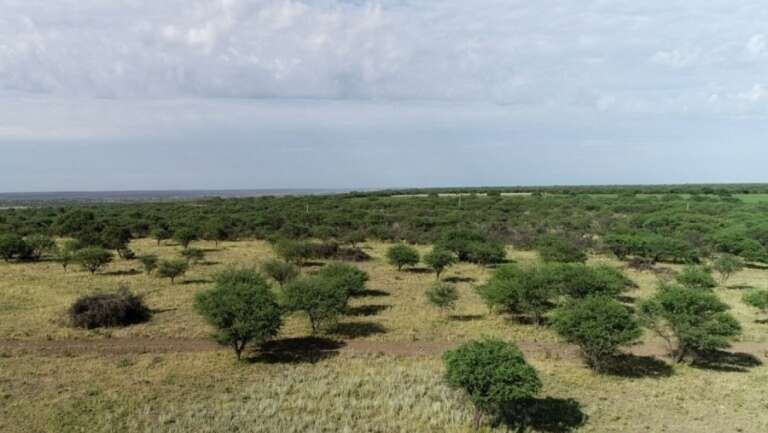 La Legislatura Provincial informó que “no habrá expropiación de tierras” para el Parque Nacional “El Caldenal”