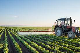 Ayudarán con hasta $20.000 por hectárea a pequeños productores de maíz y soja
