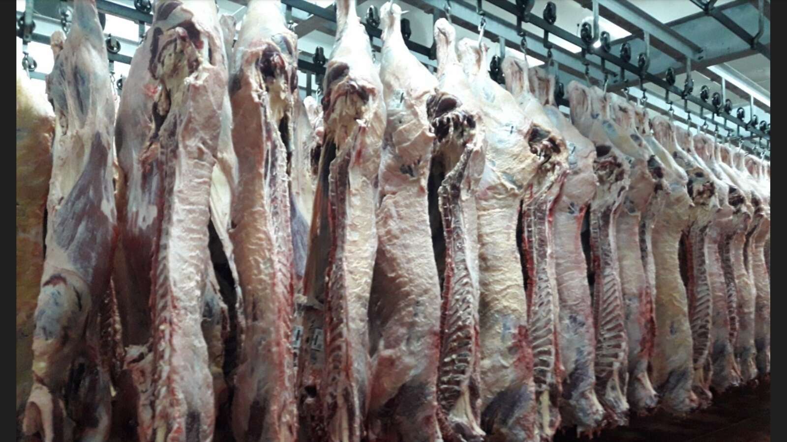 Troceo de la carne: Los frigoríficos pampeanos están listos para implementarlo