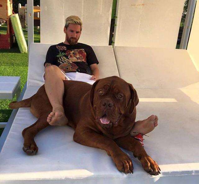 Antonela Roccuzzo subió una foto de su perro y les hizo un desesperado pedido a sus seguidores por la Navidad