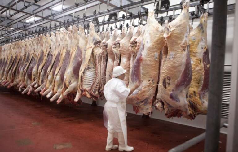 Exportadores de carne reclaman medidas para que suba el precio de la hacienda