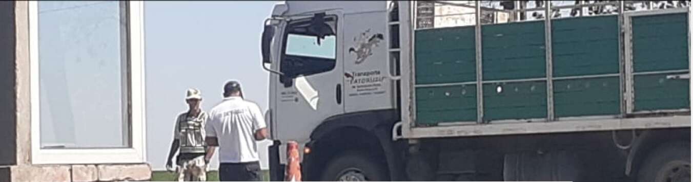 Más de 2000 transportes de carga controlados durante el 2022 en La Pampa y San Luis