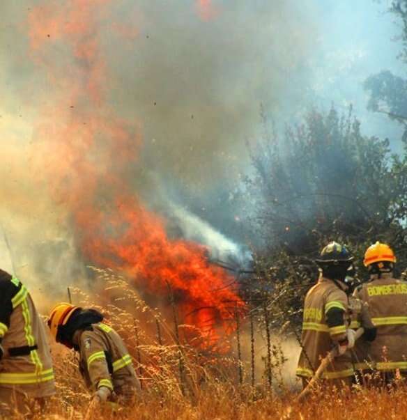 Chile: El Gobierno confirmó 22 muertes y 11 desaparecidos producto del incendio