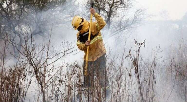 Chubut: El incendio en el Parque Nacional Los Alerces ya llegó al Lago Cholila