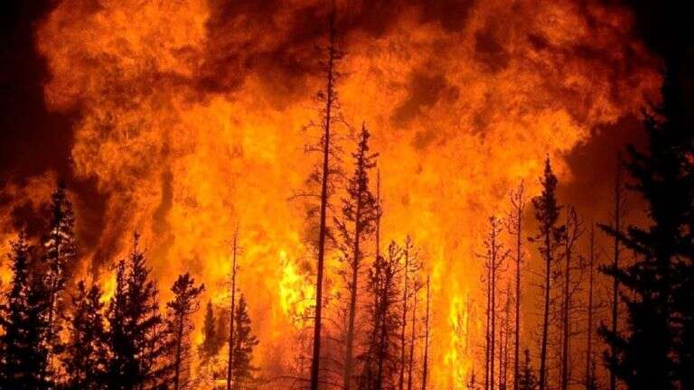 Chile: Los incendios forestales ya dejaron 24 fallecidos y casi 1.000 heridos