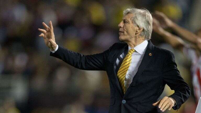 Fútbol: Pekerman renunció a su cargo de entrenador de la selección de Venezuela