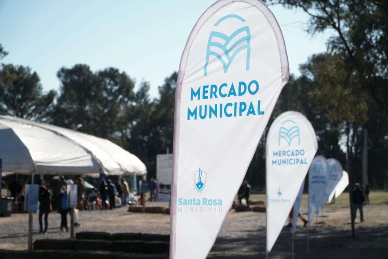 Otro sábado de Mercado Municipal: Conoce las ofertas