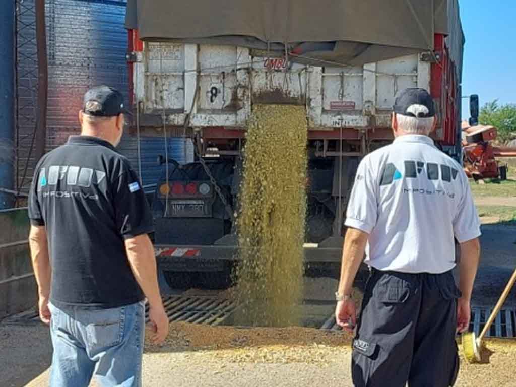 Incautan 94 toneladas de maíz en La Pampa y Córdoba por irregularidades