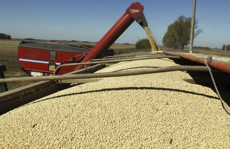 Las exportaciones del agro crecieron un 25% en 2024 y alcanzaron un superávit de US$ 39.000 millones