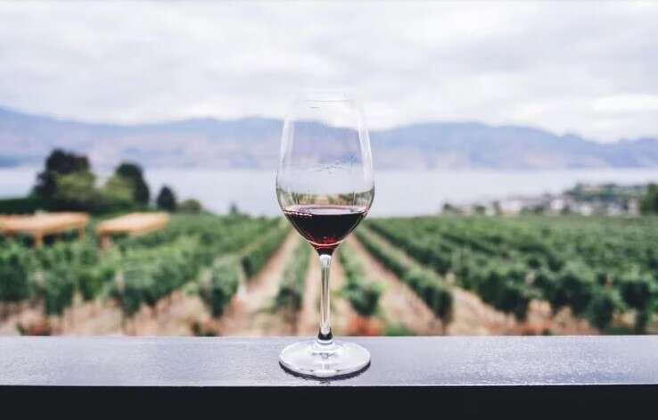 Vinos a la carta: tres Malbec top de la Argentina que prestigian la cepa ante el mundo