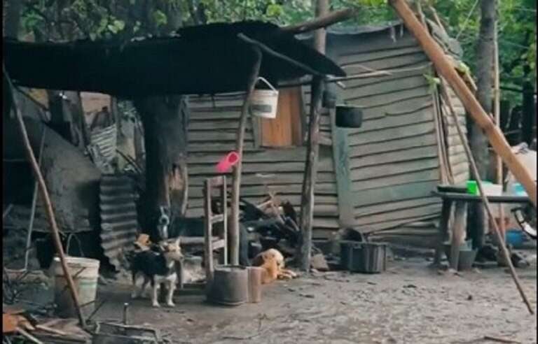 Tucumán: El insólito spot de un intendente que propone “cagar en un baño decente”