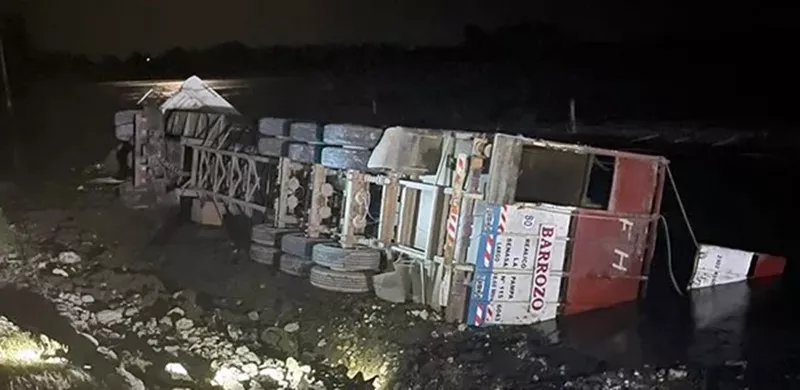 Un camión con hacienda volcó y cayó a una laguna en la ruta nÂº188