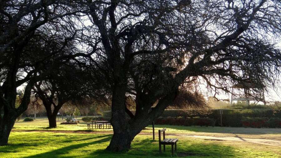 Toay: Cambios de horarios en el Jardín Botánico Provincial