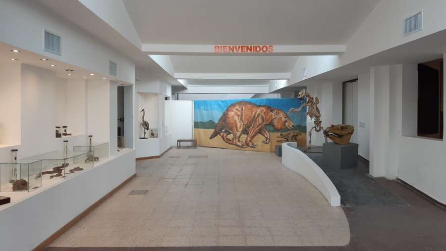 Reabren el Museo de la Historia