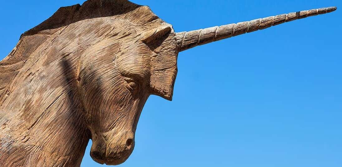 Â¿Qué tienen en común los unicornios latinoamericanos? Estas son sus características