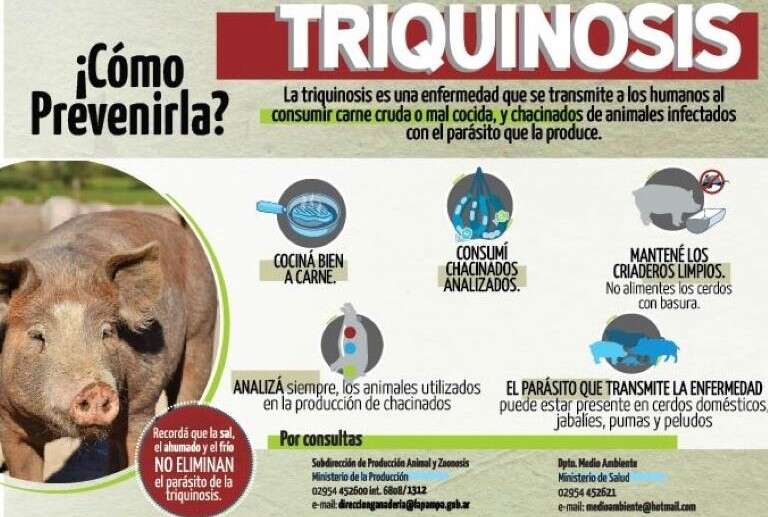 Detectaron dos nuevos casos de cerdos con triquinosis, uno en Puelches y otro en Santa Rosa