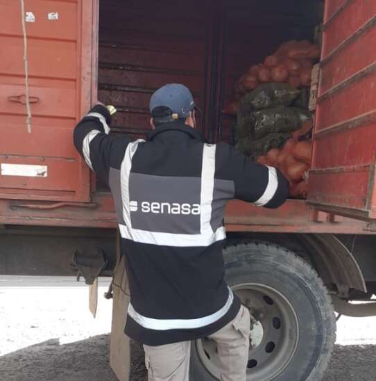 SENASA labró actas de infracción por transporte de alimentos